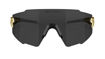 Picture of FORCE MANTRA gold, photochromic lens